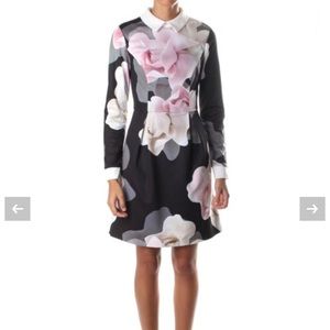 Ted Baker LASCII women’s porcelain rose collared dress